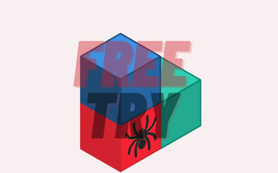 MollySpider Spatial Orientation FREE
